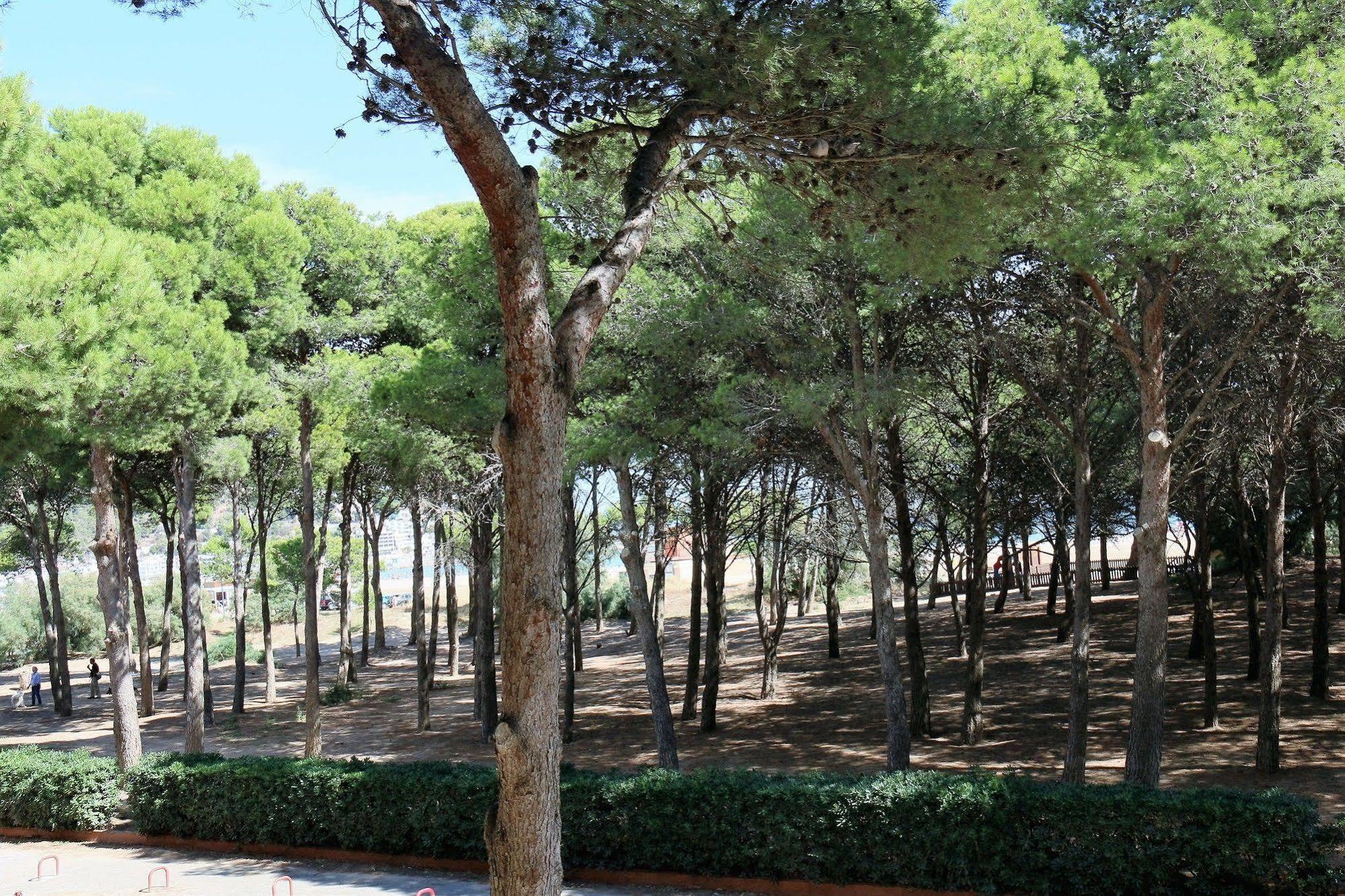 Rvapartaments La Pineda L'Estartit Bagian luar foto